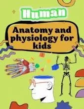 anatomy and physiology for kids: anatomy body model