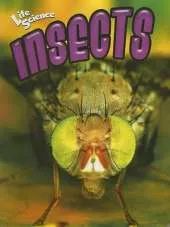 Insects