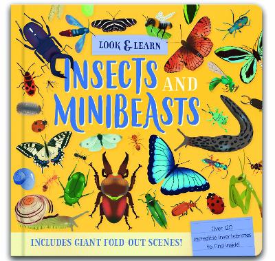 Look & Find: Insects and Minibeasts