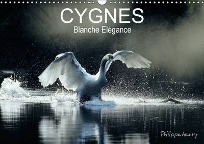 Cygnes. Blanche Elegance 2017: Les Plus Belles Photos De Cygnes Prises Dans Des Regions Sauvages De France Et De Finlande.