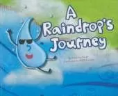A Raindrop's Journey