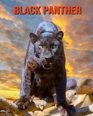 Black Panther: Beautiful Pictures & Interesting Facts Children Book About Black Panther