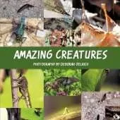 Amazing Creatures