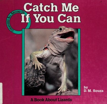 Catch Me If You Can