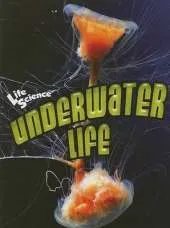 Underwater Life