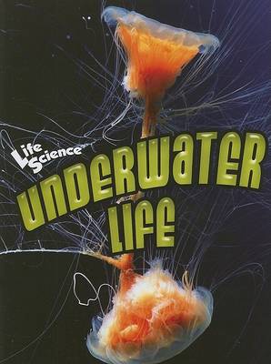 Underwater Life