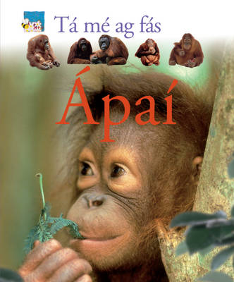Ta me ag fas: Apai
