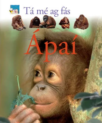 Ta me ag fas: Apai