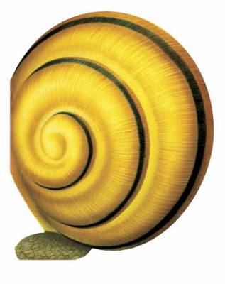 Little Snail: Mini Creatures