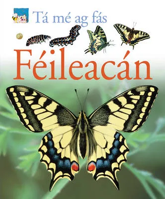 Ta me ag fas: Feileacan
