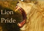 Lion Pride 2018: Captured Moments of Wild Lions in South Africa.