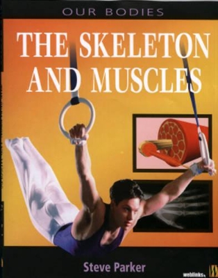 Muscles and Skeleton