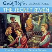 Puzzle for the Secret Seven