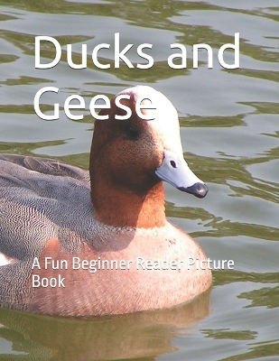 Ducks and Geese: A Fun Beginner Reader Picture Book