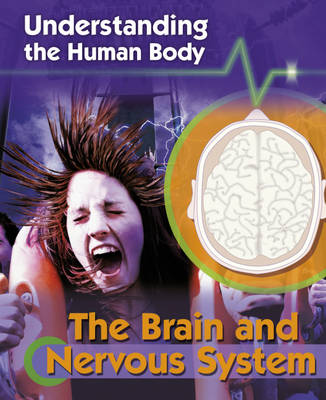 Understanding the Human Body: The Brain and Nervous System