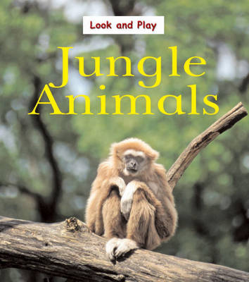 Jungle Animals