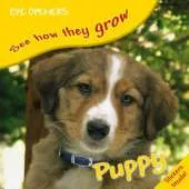 Puppy