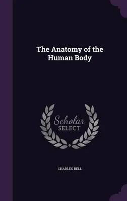 The Anatomy of the Human Body