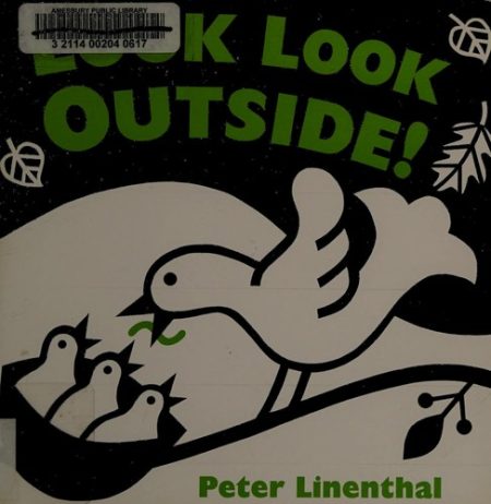 Look Look Outside