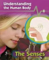 Understanding the Human Body: The Senses