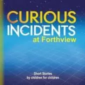 Curious Incidents - Forthview: Short Stories by Children for Children