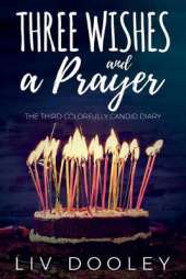 Three Wishes and a Prayer: The Third Colorfully Candid Diary