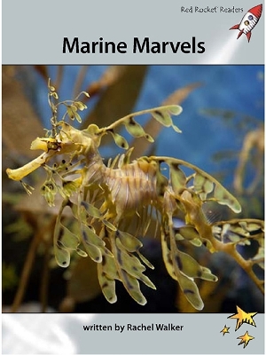 Red Rocket Readers: Advanced Fluency 1 Non-Fiction Set A: Marine Marvels (Reading Level 24/F&P Level O)