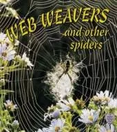 Web Weavers and Other Spiders
