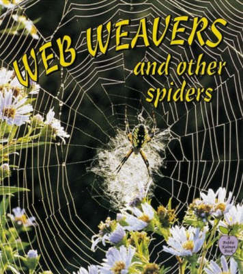 Web Weavers and Other Spiders