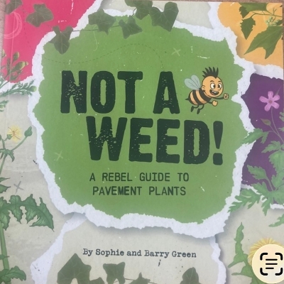 Not a Weed!: A rebel guide to pavement plants