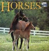 Horses: An Abridgement of Harold Roth's Big Book of Horses