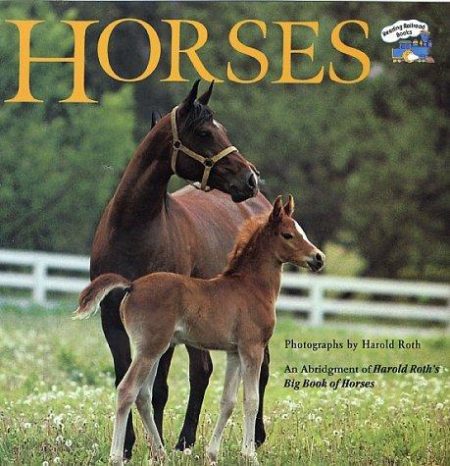 Horses: An Abridgement of Harold Roth's Big Book of Horses