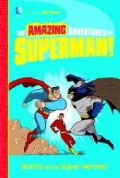 Battle for the Super Heroes