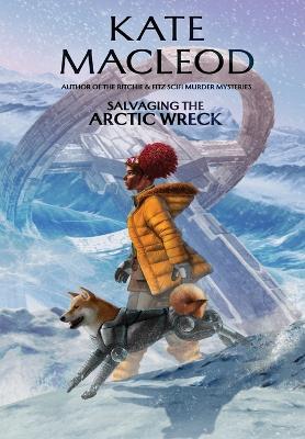 Salvaging the Arctic Wreck