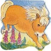 Pony