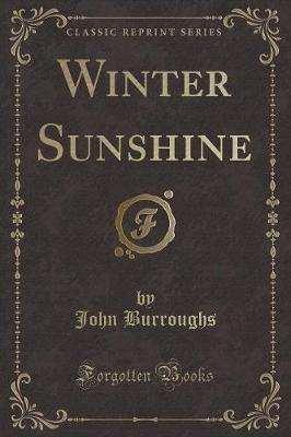 Winter Sunshine (Classic Reprint)