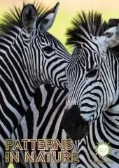 Patterns in Nature