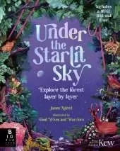 Under the Starlit Sky: Explore the Forest Layer By Layer