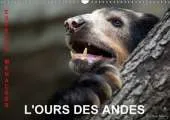 L'Ours Des Andes. Especes Menacees 2017: Sur La Piste De L'ours Des Andes, Dans Les Hautes Montagnes De L'equateur.