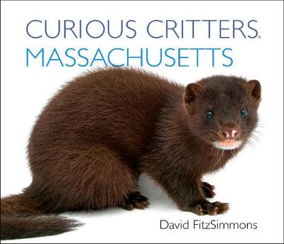 Curious Critters Massachusetts