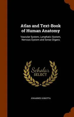 Atlas and Text-Book of Human Anatomy: Vascular System, Lymphatic System, Nervous System and Sense Organs