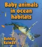 Baby Animals in Ocean Habitats