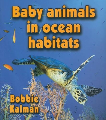 Baby Animals in Ocean Habitats