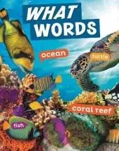 What Words