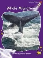 Whale Migrations