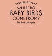 Where Do Baby Birds Come From? The Bird Life Cycle