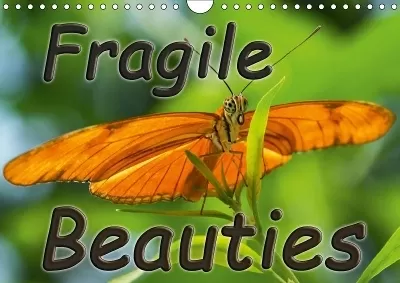 Fragile Beauties - Exotic butterflies 2019: Spellbinding photos of various exotic butterflies in their natural habitat.
