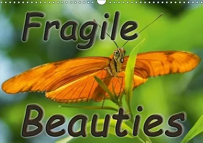 Fragile Beauties - Exotic butterflies 2019: Spellbinding photos of various exotic butterflies in their natural habitat.