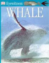 Whale
