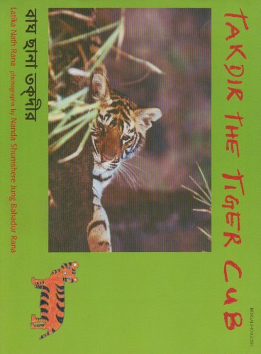 Takdir the Tiger Cub